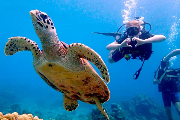 Scuba Diving in Phuket
