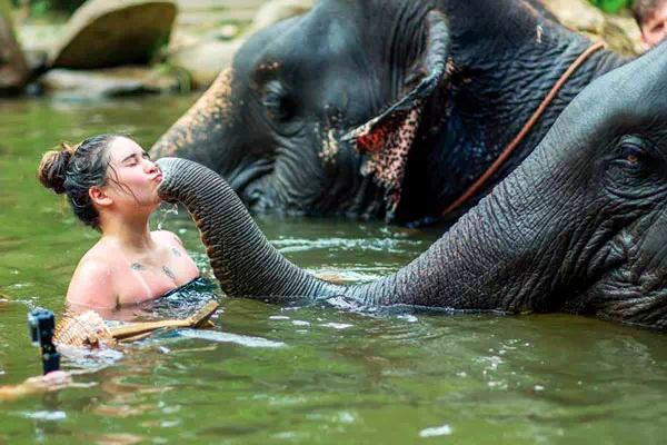 Tour to Khao Lak and elephant bathing from Phuket