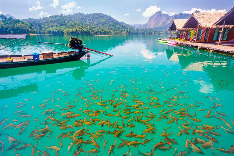 Excursion to Khao Sok and Cheow Lan Lake from Phuket view 4