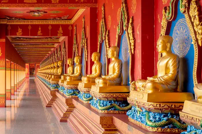 Excursion to Khao Sok and Cheow Lan Lake from Phuket view 7