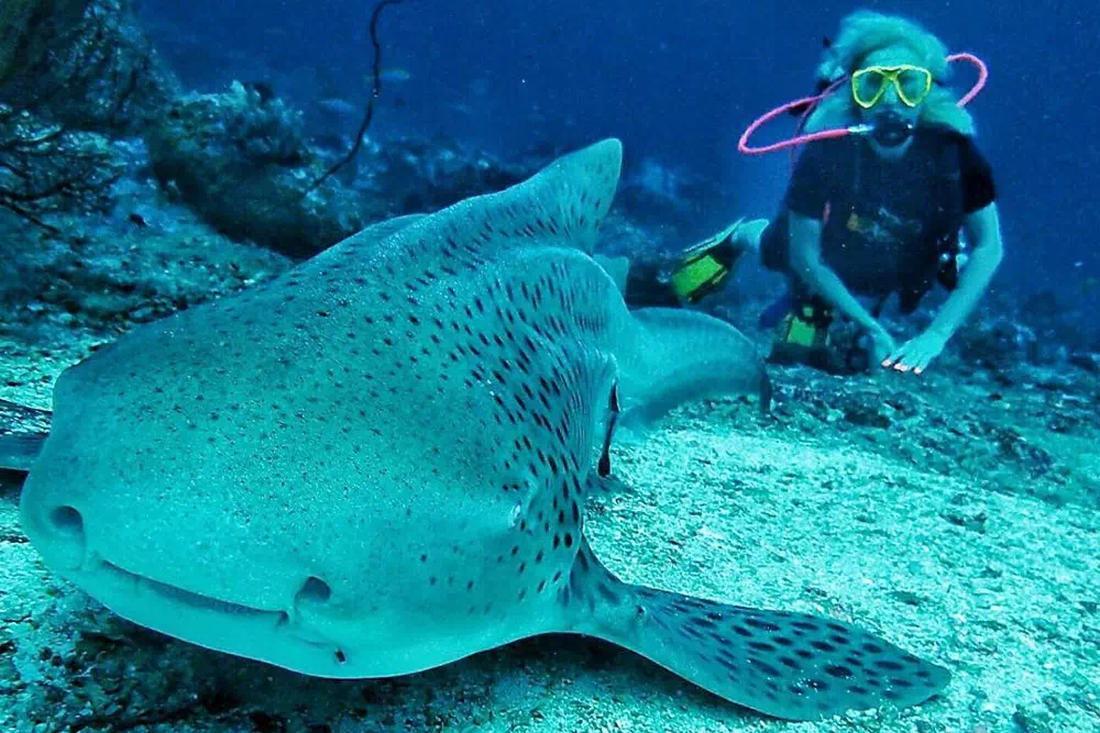 Phuket scuba diving experience view 3