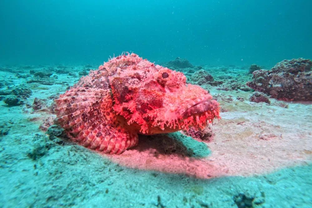 Scuba diving Thailand course view 11