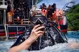 Phuket scuba training thumbnail 12
