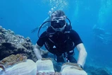 Phuket underwater experience thumbnail 13