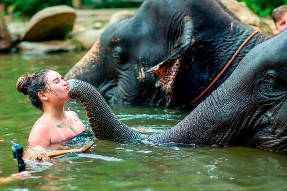 Khao Lak and Elephant Bathing Tour from Phuket View 1