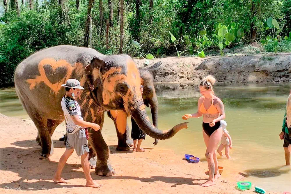 Khao Lak and Elephant Bathing Tour from Phuket View 2