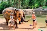 Khao Lak and Elephant Bathing Tour from Phuket Thumb 2