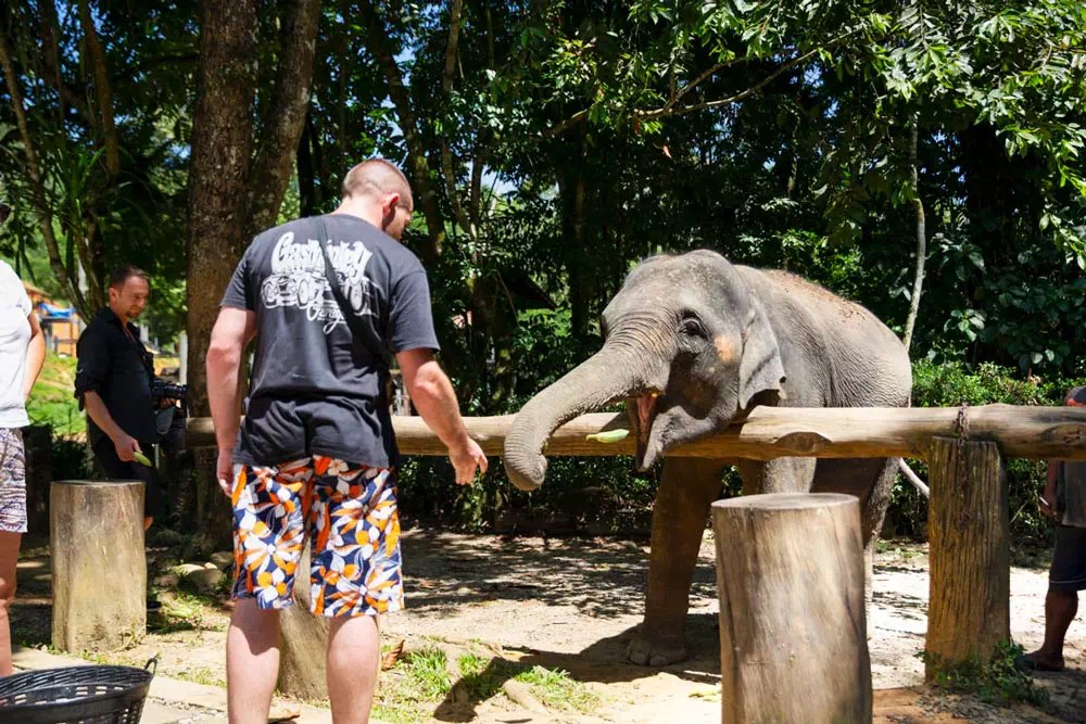 Khao Lak and Elephant Bathing Tour from Phuket View 5