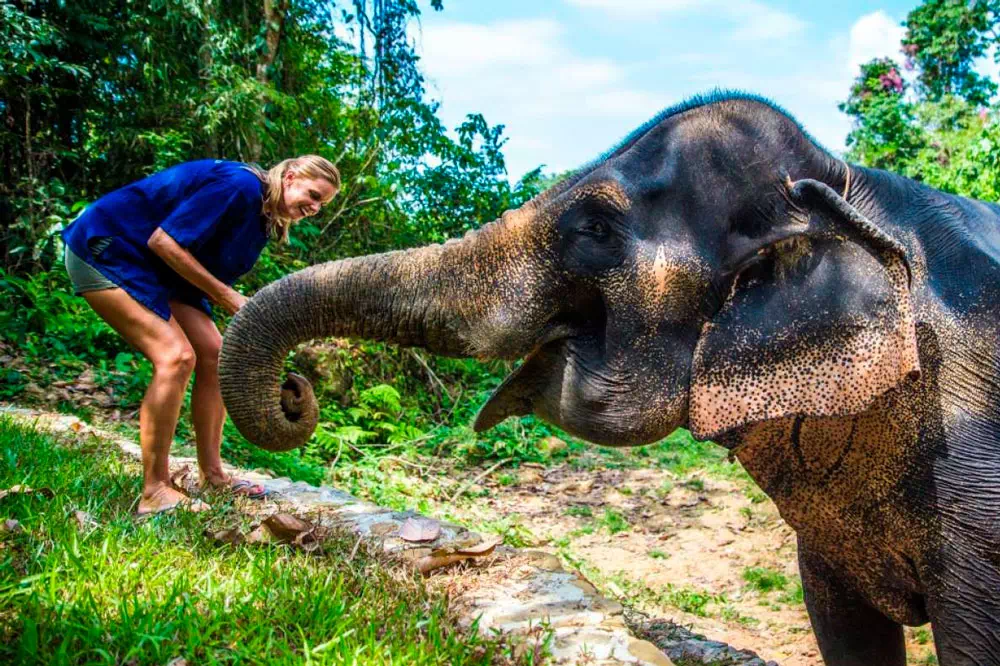 Khao Lak and Elephant Bathing Tour from Phuket View 9