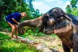 Khao Lak and Elephant Bathing Tour from Phuket Thumb 9