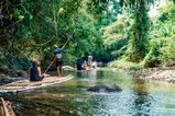 Khao Lak and Elephant Bathing Tour from Phuket Thumb 13