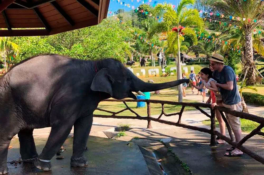 Excursion to Phang Nga, Samet Nangshe, and the Airplane Beach in Phuket thumb 11
