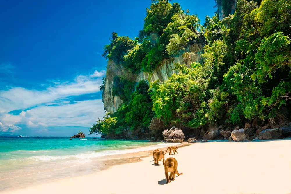 Excursion to the Paradise Islands of Phi Phi from Phuket view 3