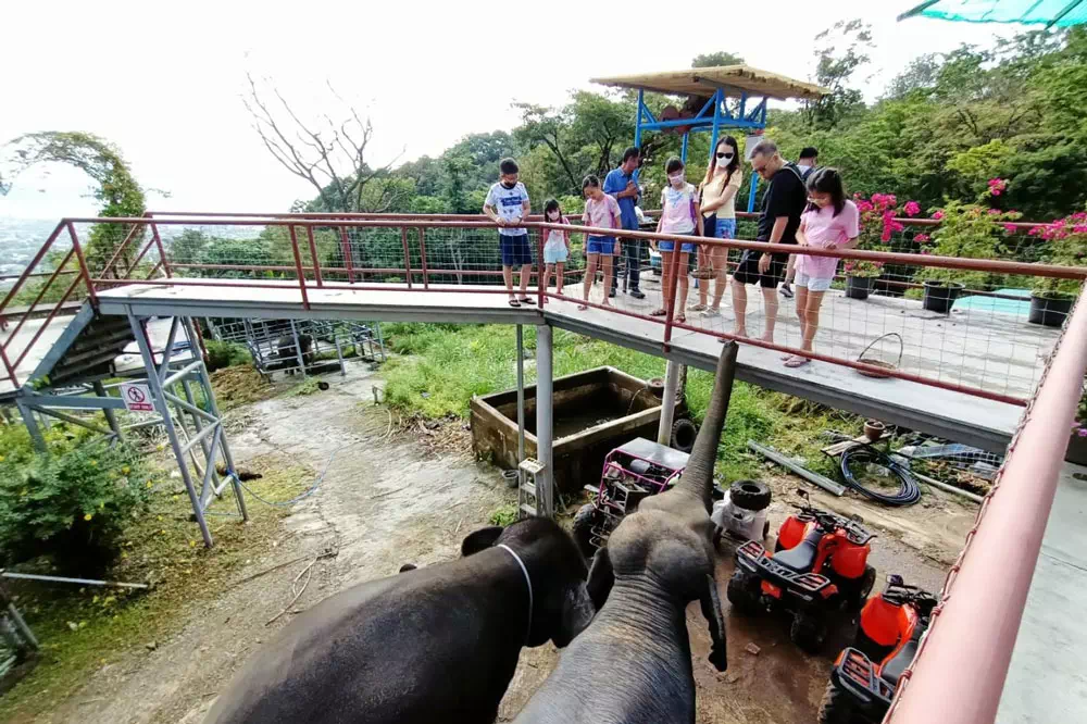 ATV Quad Bike Tour in Phuket view 14
