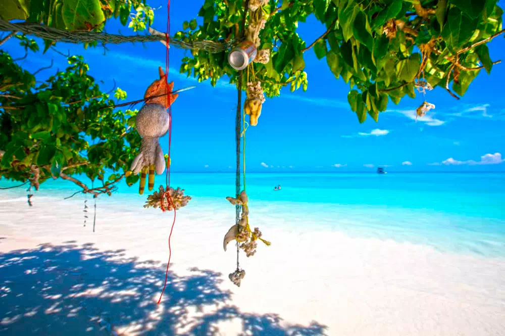 Similan Islands Tour from Phuket view 3