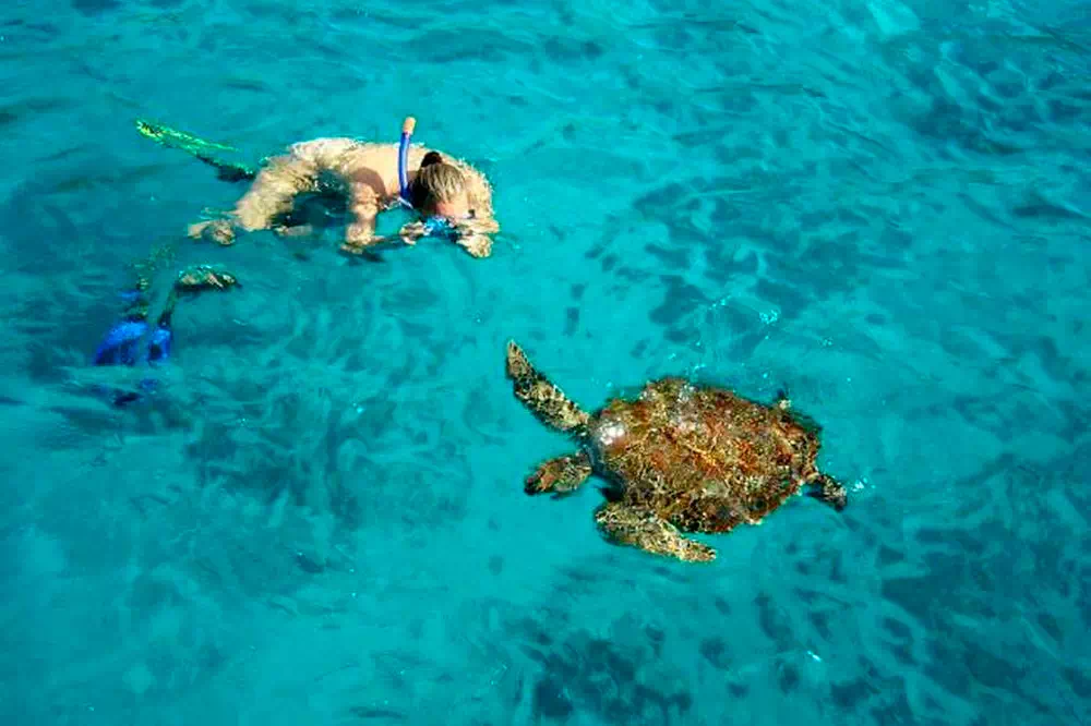 Similan Islands Tour from Phuket view 10