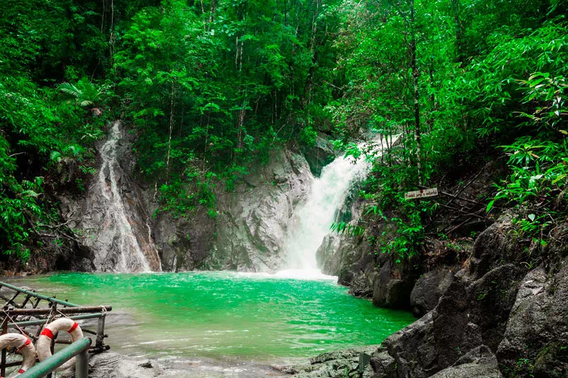 White water rafting in Phang Nga Province from Phuket view 13