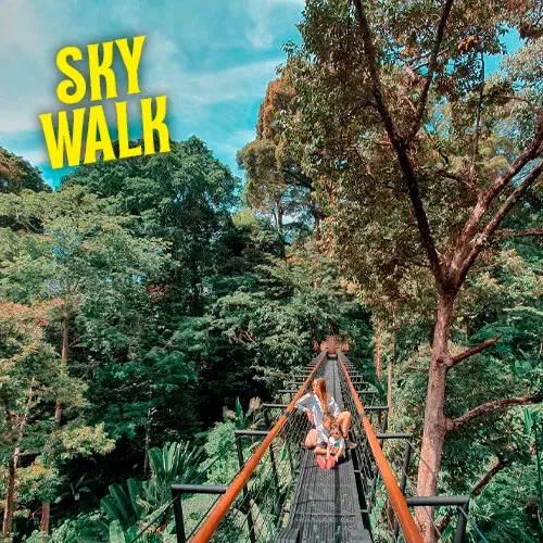 Hanuman World Zipline Park Phuket view 8