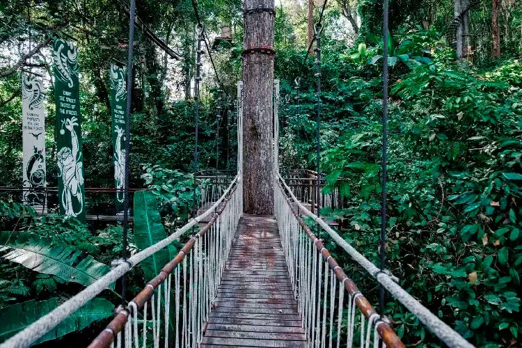 Hanuman World Zipline in Phuket view 13