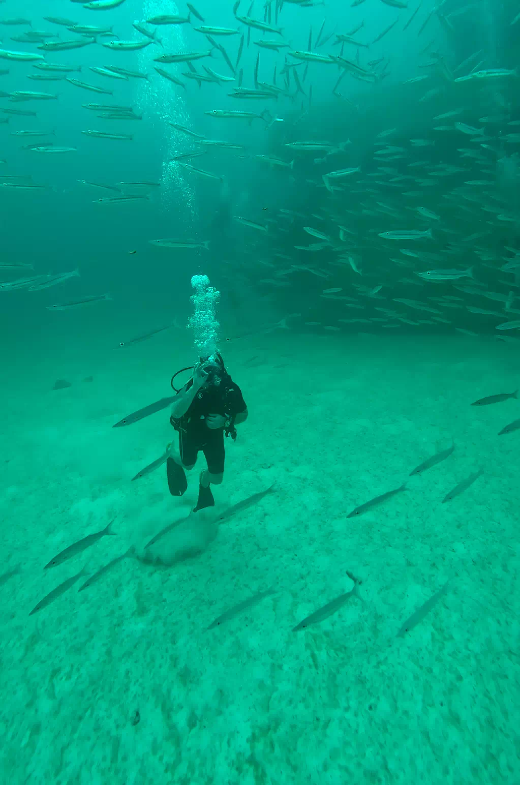 Phuket Diving Experience