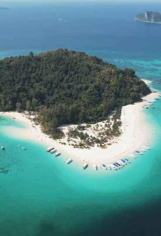 Phi Phi underwater world photo 6